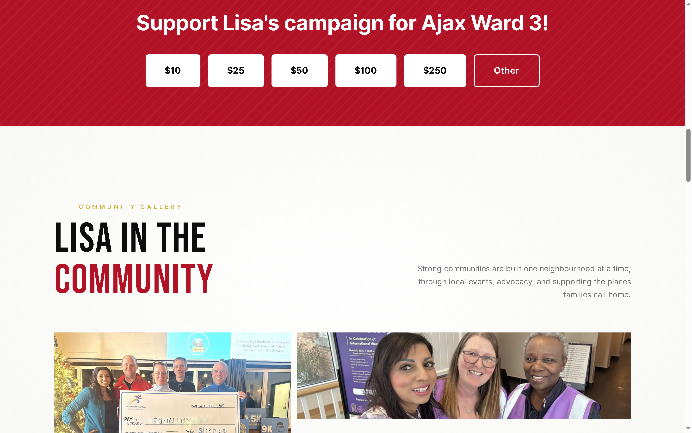 Building a Community-Focused Digital Campaign for Lisa Patel - Project Screenshot 3 for Lisa Patel for Ajax Ward 3