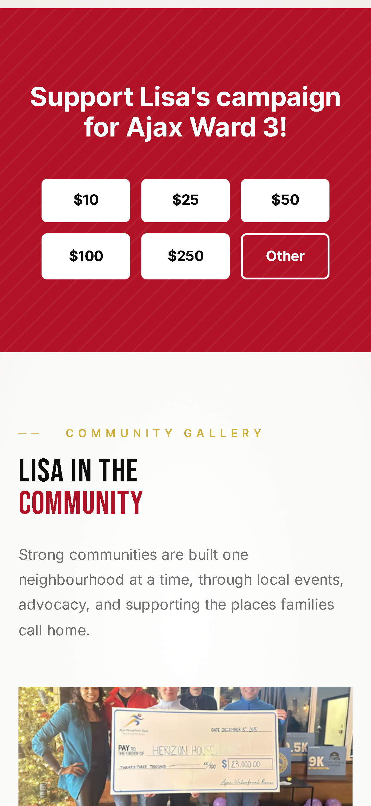 Building a Community-Focused Digital Campaign for Lisa Patel - Project Screenshot 10 for Lisa Patel for Ajax Ward 3